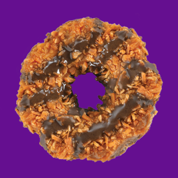 Samoas Girl Scout Cookies