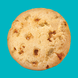 Toffee-tastic Girl Scout Cookies